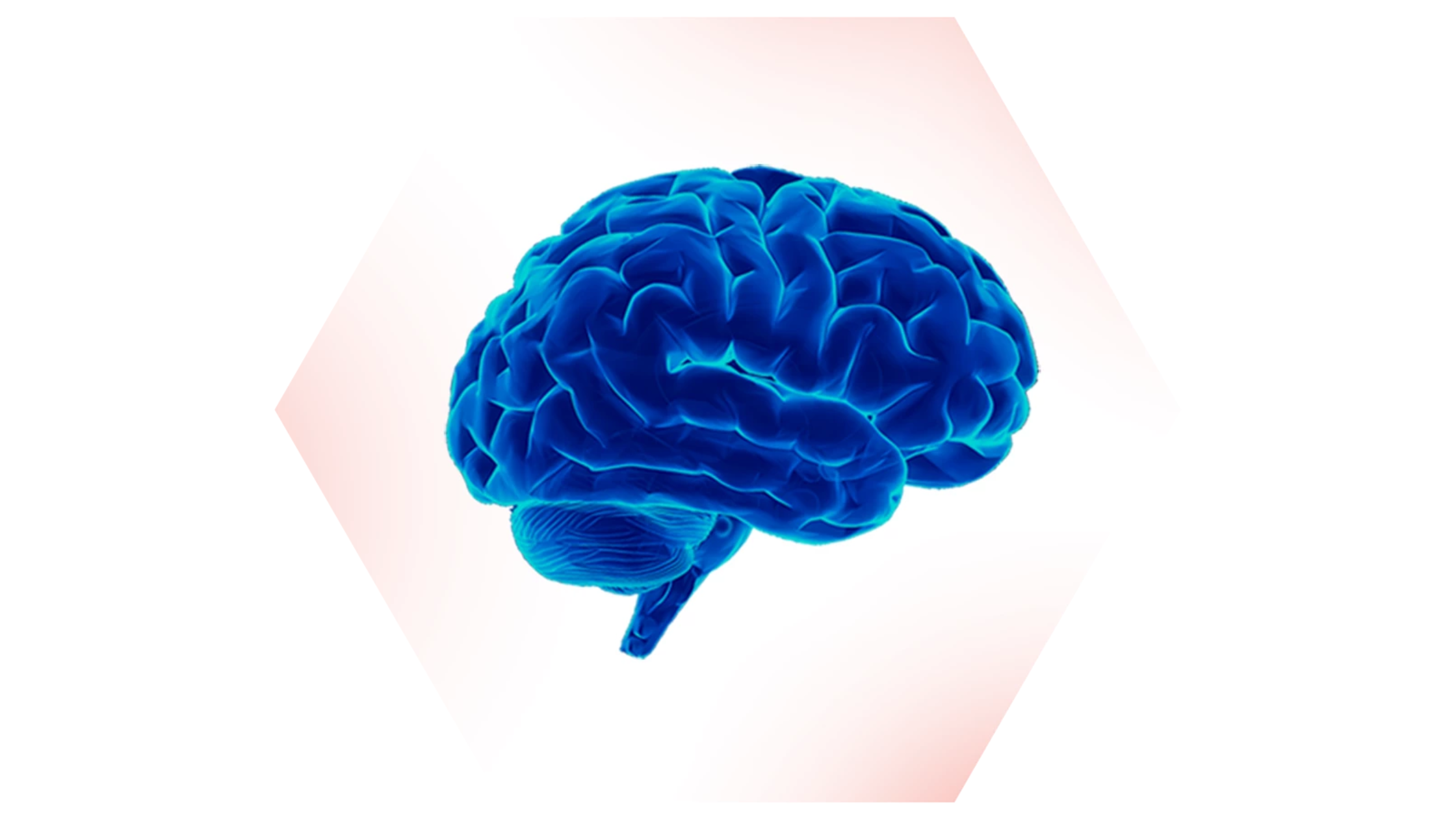 Illustration of a blue brain, emphasizing artistic, hand-drawn qualities, resembling a sketch.