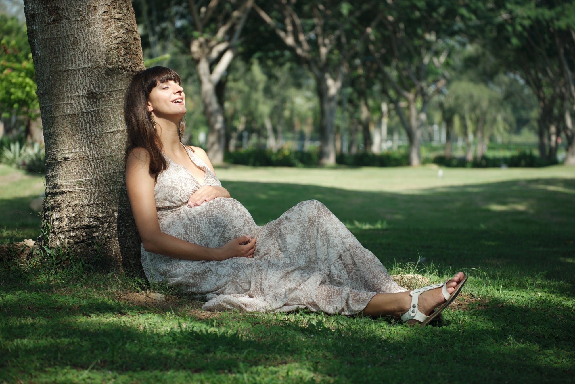 Supporting the Maternal Nervous System in Pregnancy