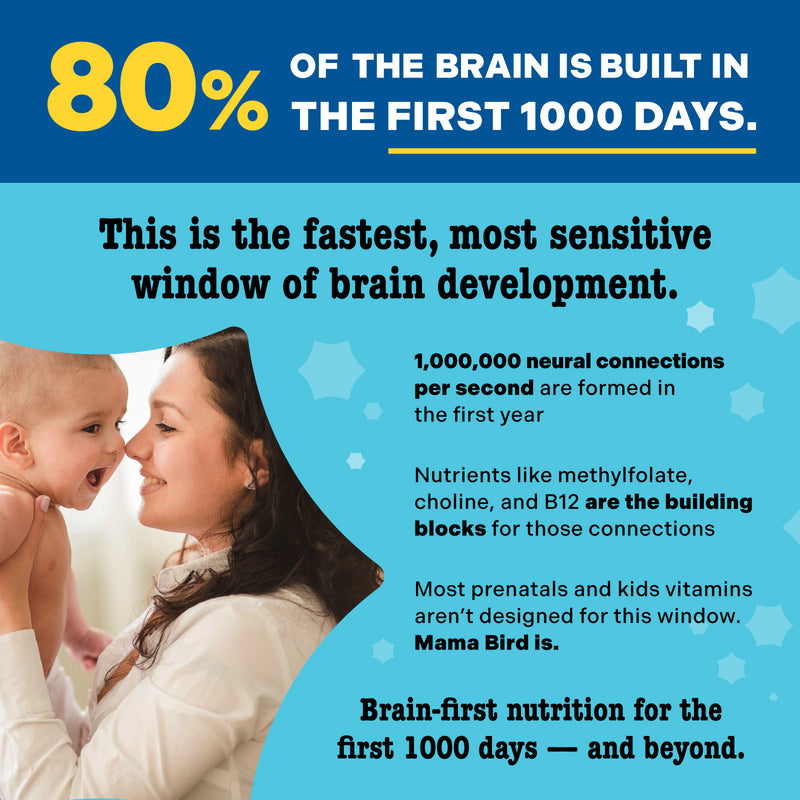 Infographic highlighting brain-first nutrition benefits of Mama Bird Prenatal Multi+ (Iodine & Iron Free Version) for critical brain development in babies' first 1,000 days.