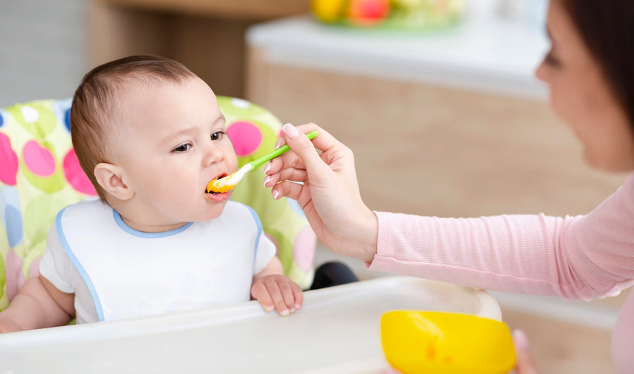 Feeding the Brain in the First Year: What Nutrients Support Focus, Mood, and Learning