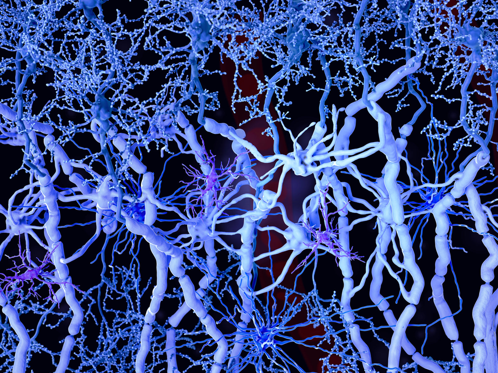 Myelination 101: Why Your Baby’s Brain Needs B12, DHA, and Choline to Work Faster