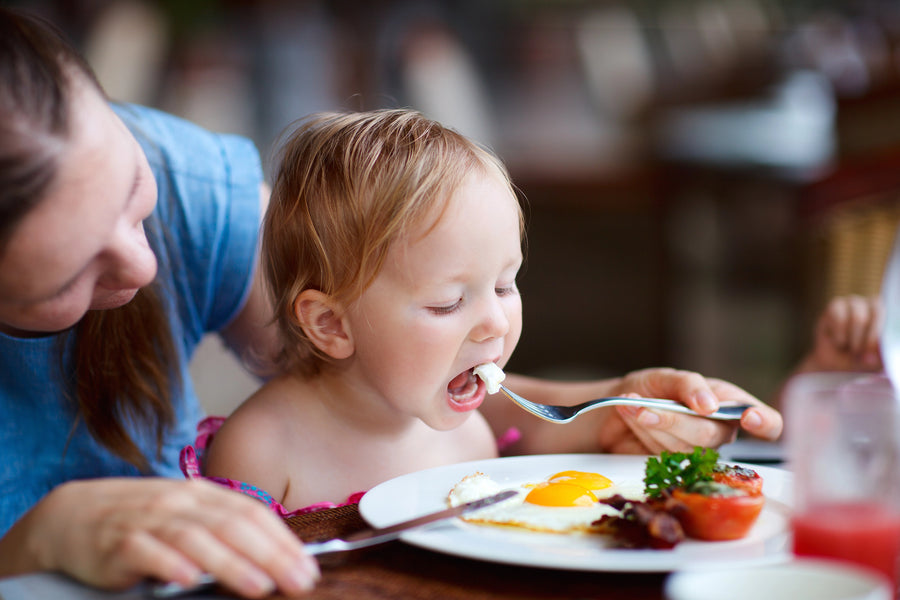 Iron, Choline, and DHA for Toddlers: Fueling the Brain for Early Learning and Behavior