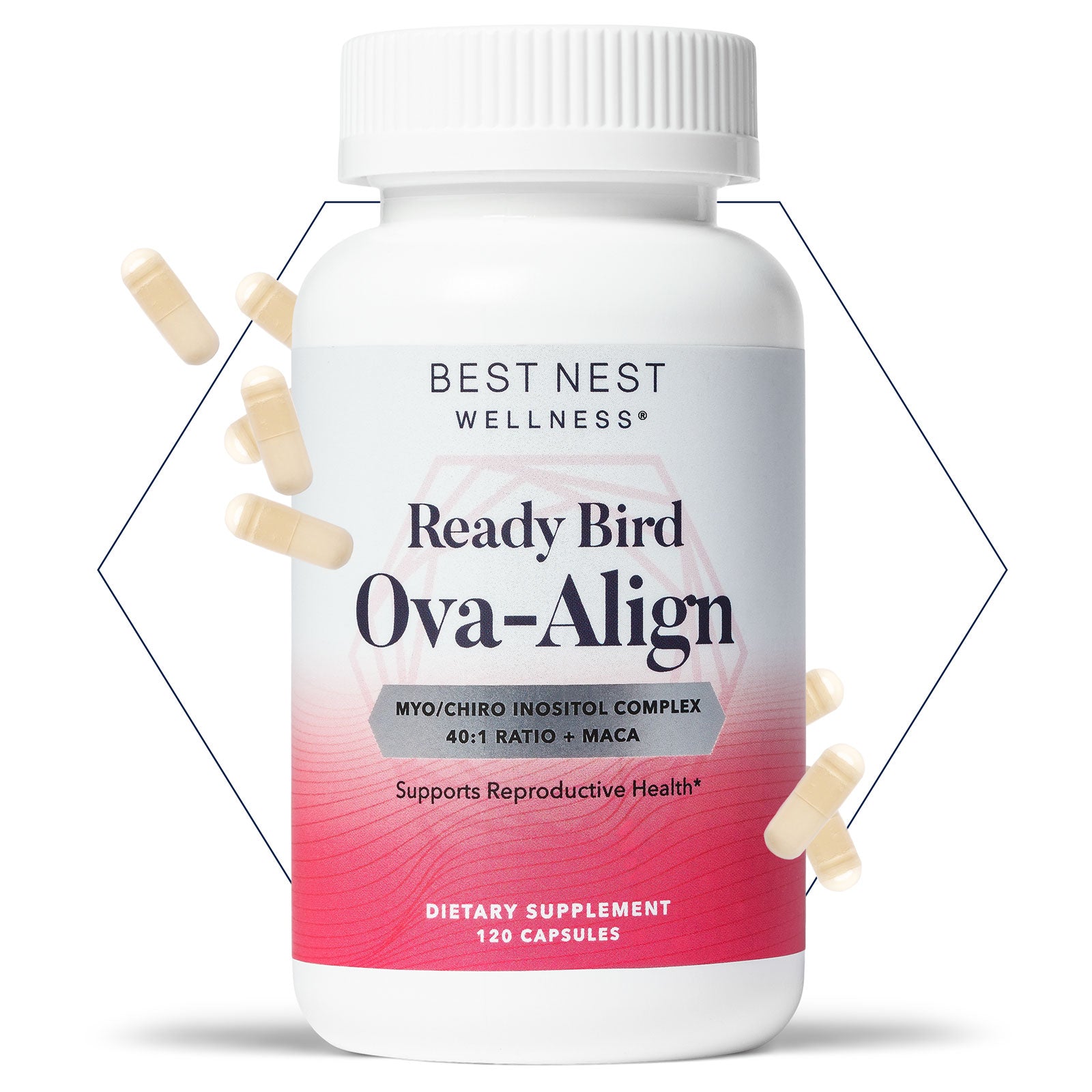 Ova-Align
